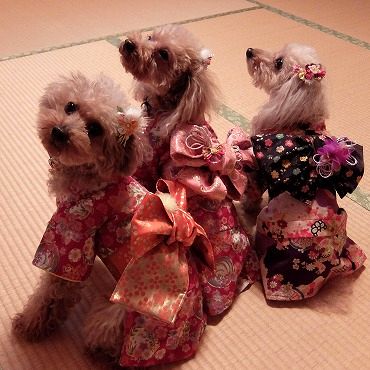 DSCF2959.jpg