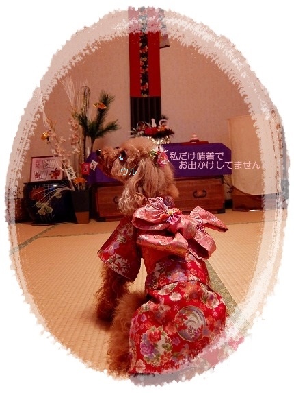 DSCF3014.jpg