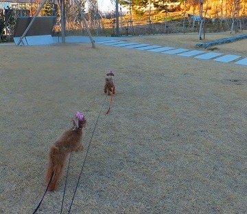 DSCF3061.jpg