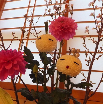 DSCF3129.jpg