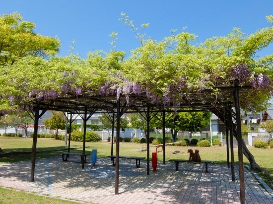 DSCF3247.jpg
