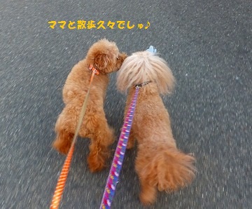DSCF33641.jpg