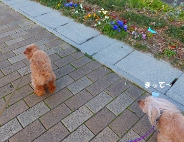 DSCF3367.jpg