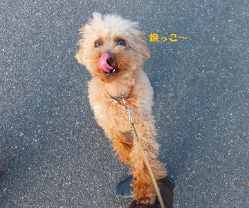 DSCF33791.jpg