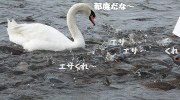 DSCF3389.JPG