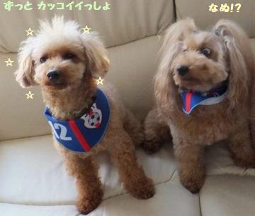 DSCF34121.jpg