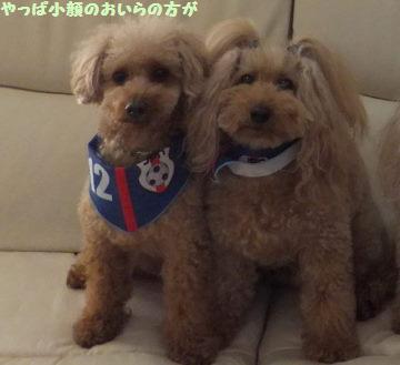 DSCF34231.jpg