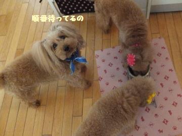 DSCF35411.jpg
