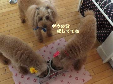 DSCF35421.jpg