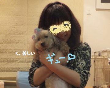 DSCF35821.jpg