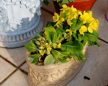 DSCF3709.jpg