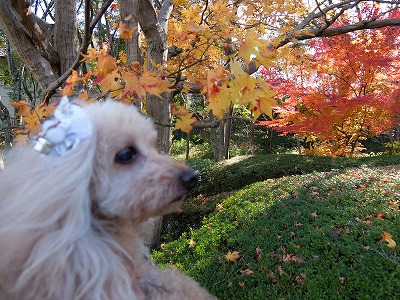 DSCF3792.jpg
