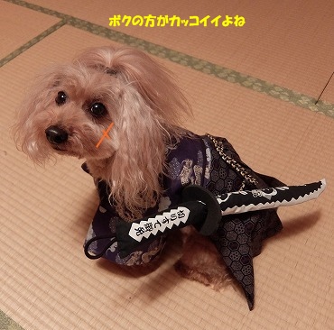 DSCF3969.jpg