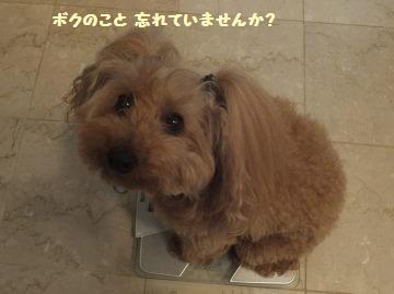 DSCF40061.jpg
