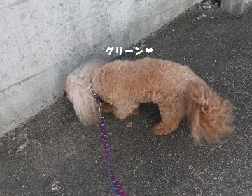 DSCF4008.jpg