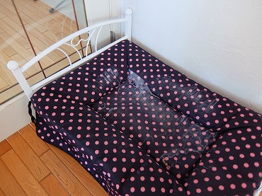 DSCF4025.jpg