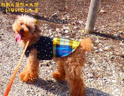 DSCF40311.jpg