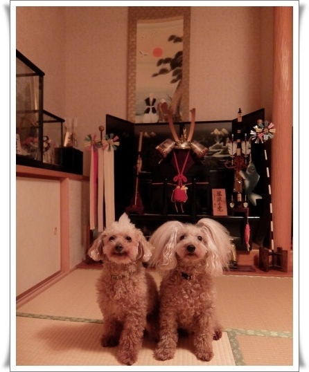 DSCF40791.jpg