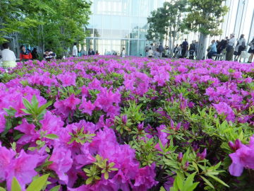 DSCF4081.JPG