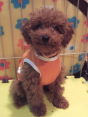 DSCF4233.JPG
