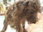 DSCF4292.JPG