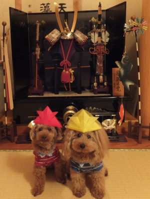 DSCF4305.JPG