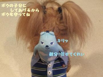 DSCF43141.jpg