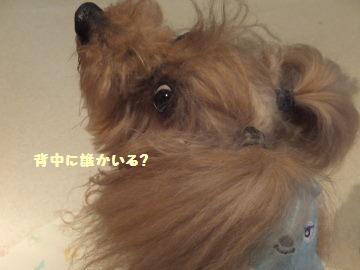 DSCF43161.jpg