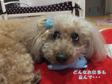 DSCF43601.jpg