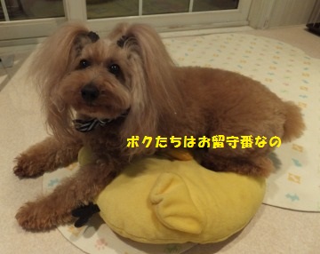 DSCF4402.jpg