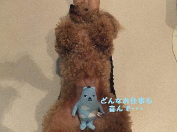 DSCF44161.jpg