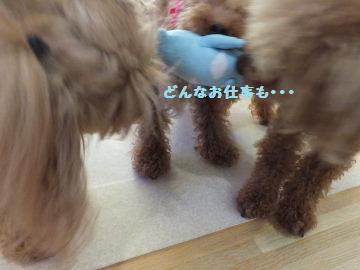 DSCF44951.jpg