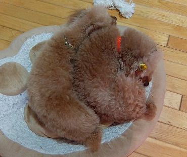 DSCF4571.jpg