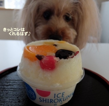 DSCF4581.jpg