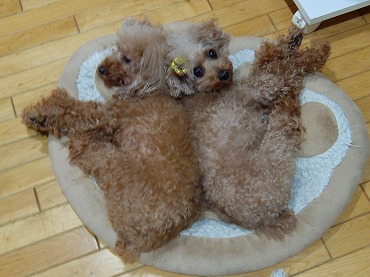 DSCF4613.jpg