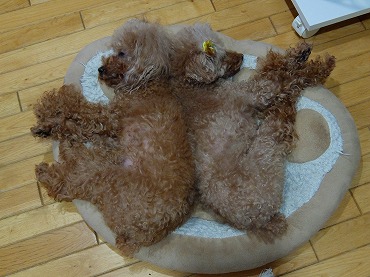 DSCF4614.jpg