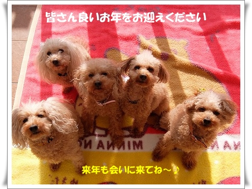 DSCF4658.jpg