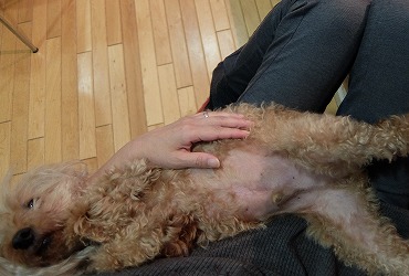 DSCF47091.jpg