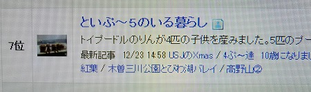 DSCF4736.jpg