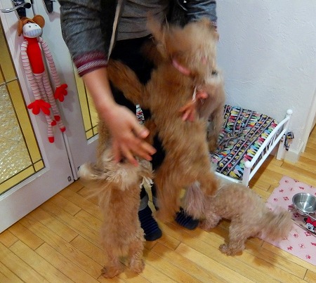 DSCF4790.jpg