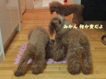 DSCF4821.JPG