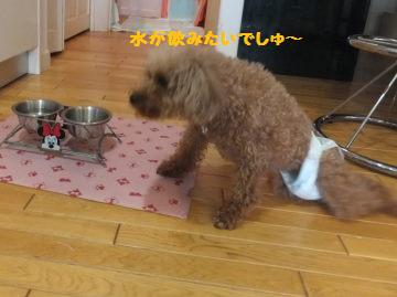 DSCF4873.JPG