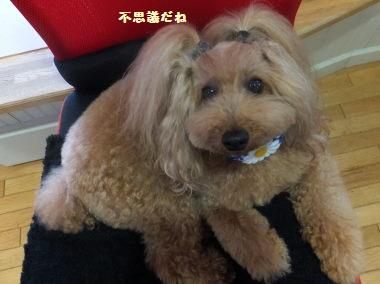 DSCF49221.jpg