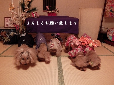 DSCF4981.jpg
