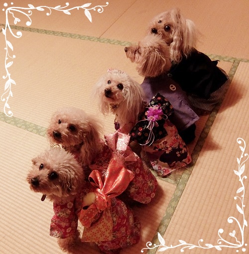 DSCF5006.jpg