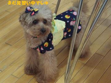 DSCF50601.jpg