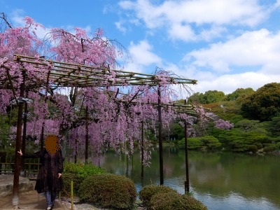 DSCF5101.jpg