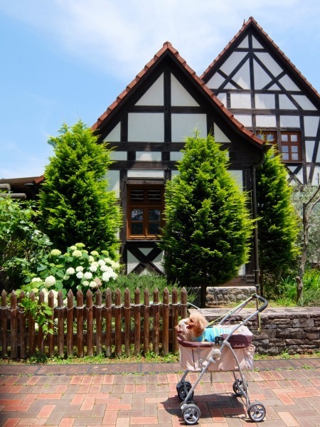 DSCF5108.jpg