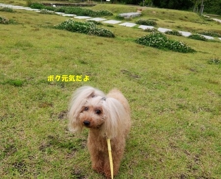 DSCF5128.jpg