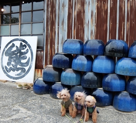 DSCF5154.JPG